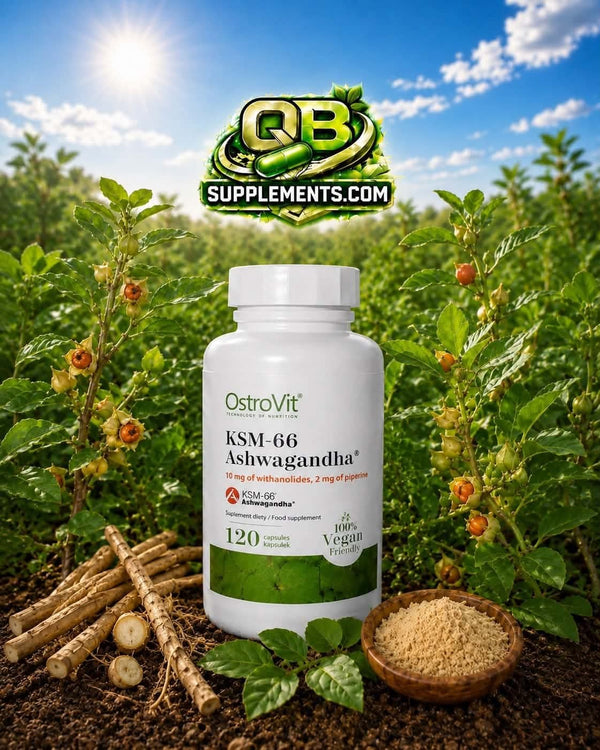 OstroVit - KSM-66 Ashwagandha - 120 kapsler